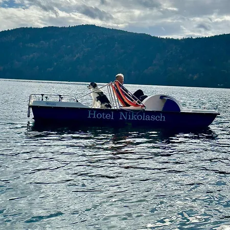 Nikolasch 4*